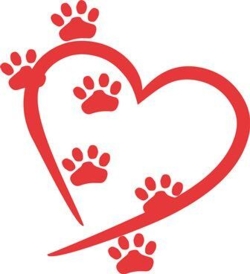 Soft-agility, intro-hold, søndag d. 1. juni kl. 14-15.15