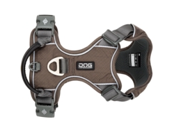 Dog Copenhagen Comfort Walk Pro, Mocca, str M