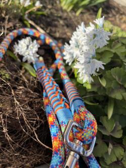 Paracord hundeline, multi-farver