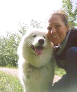 Osteopati-behandling af din hund i Blommenslyst, fredag d. 22. maj kl. 16.00 - 17.00