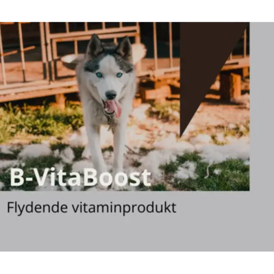 B-vita Boost, 500 ml