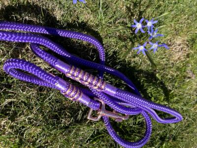 Paracord hundeline, lilla