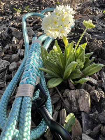 Paracord hundeline, isblå