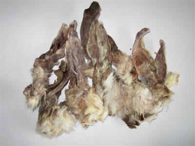 Kaninører med pels