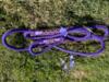 Paracord hundeline, lilla