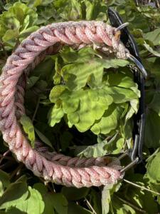 Paracord halsbånd i beige/sart rosa