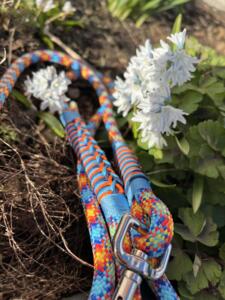 Paracord hundeline, multi-farver