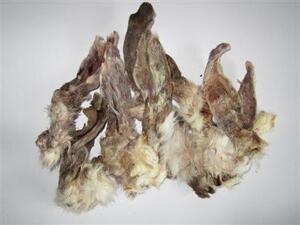 Kaninører med pels